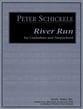 RIVER RUN CONTRABASS W/HARPSICHORD cover